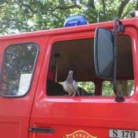2014-08-03 Pożar oraz wypadek samochodowy - Leszkowy